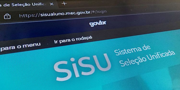 Sisu