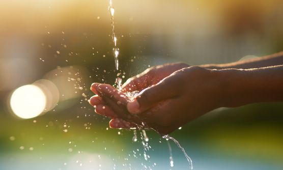 Dia Mundial da agua