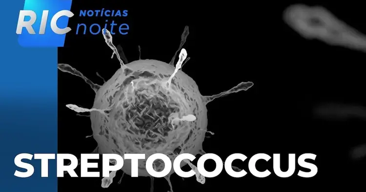 Bacteria Streptococcus Cascavel