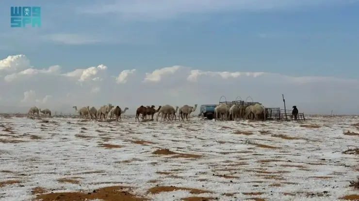 Neve no deserto